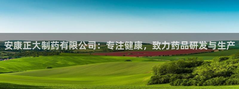 老哥吧九游会