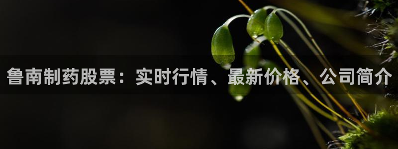 九游老哥俱乐部官网登录网址：鲁南制药股票：实时行情、最新价格、公司简介