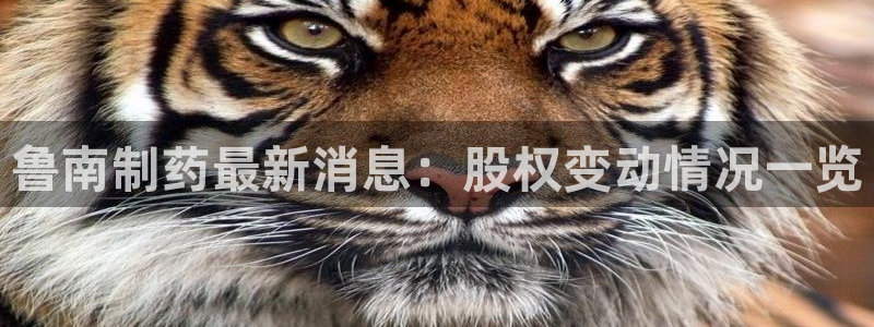 九游会老哥俱乐部官网首页论坛：鲁南制药最新消息：股权变动情况一览
