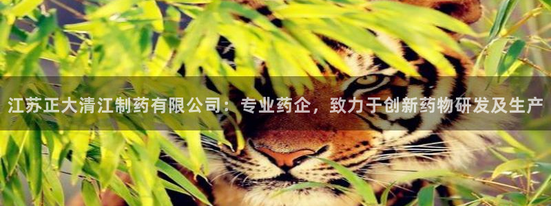 九游会老哥俱乐部官网首页：江苏正大清江制药有限公司：专业药企，致力于创新药物研发及生产
