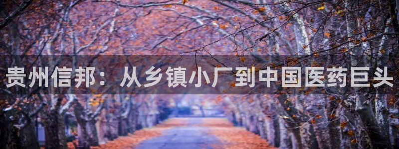 九游老哥俱乐部官网登录网址：贵州信邦：从乡镇小厂到中国医药巨头