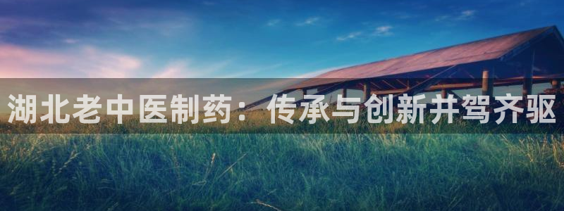 ag九游会老哥俱乐部：湖北老中医制药：传承与创新并驾齐驱