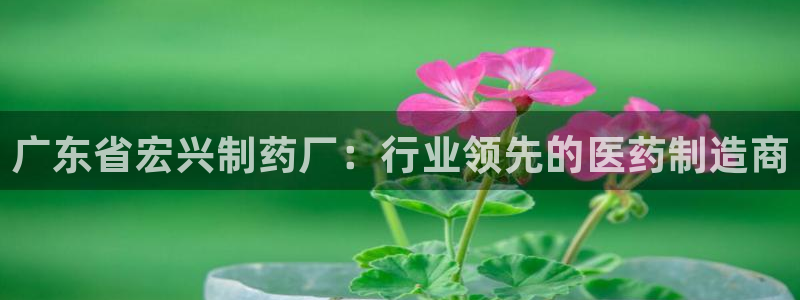 九游会老哥俱乐部必备的交流社区论坛：广东省宏兴制药厂：行业领先的医药制造商