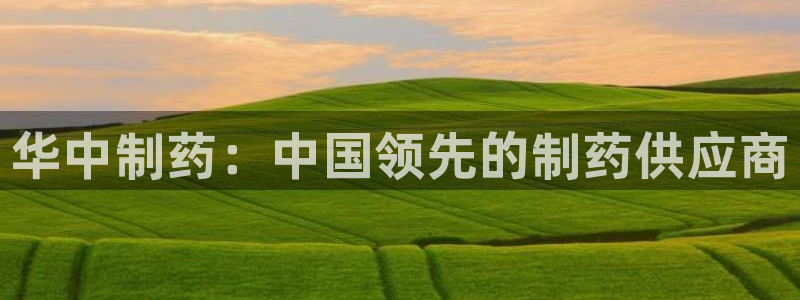 老哥俱乐部是干什么的：华中制药：中国领先的制药供应商