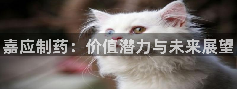 九游会老哥俱乐部论坛版：嘉应制药：价值潜力与未来展望