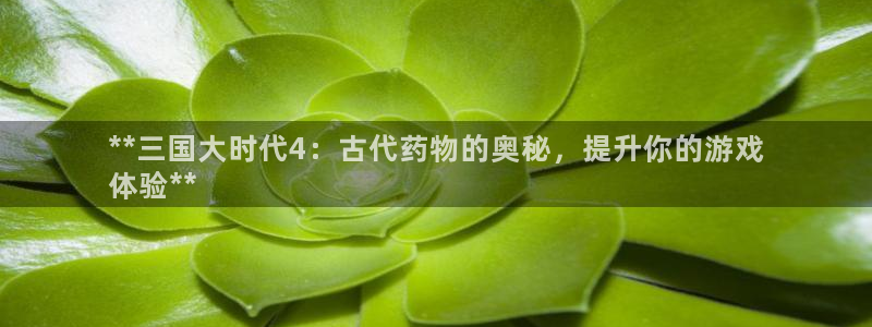 九游会老哥俱乐部交流社区：**三国大时代4：古代药物的奥秘，提升你的游戏
体验**