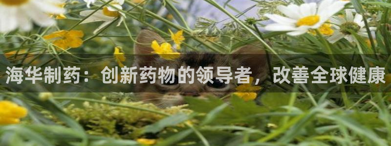 ag九游会老哥俱乐部：海华制药：创新药物的领导者，改善全球健康