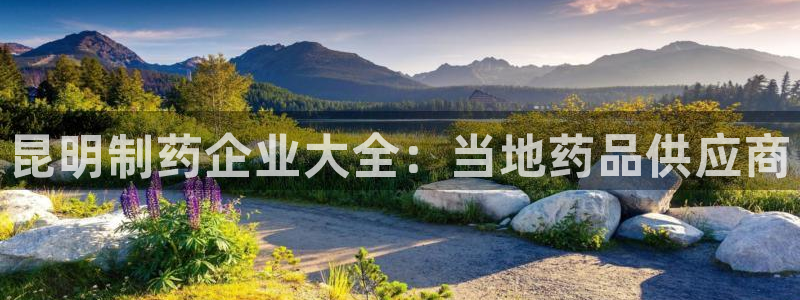 ag九游会老哥俱乐部：昆明制药企业大全：当地药品供应商