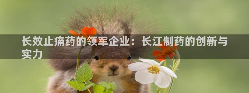 九游老哥俱乐部官网登录：长效止痛药的领军企业：长江制药的创新与
实力