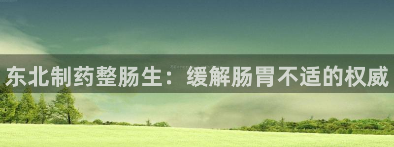 j9九游会老哥俱乐部交流区：东北制药整肠生：缓解肠胃不适的权威