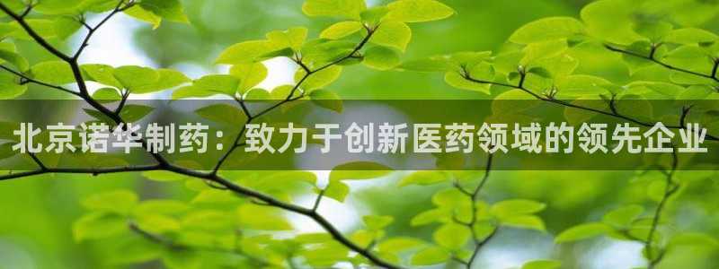 九游会老哥必备的交流社区：北京诺华制药：致力于创新医药领域的领先企业