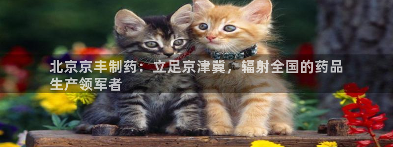 九游会老哥俱乐部：北京京丰制药：立足京津冀，辐射全国的药品
生产领军者