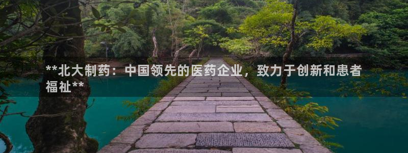 九游老哥俱乐部官网登录网址：**北大制药：中国领先的医药企业，致力于创新和患者
福祉**