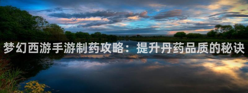 9游会老哥：梦幻西游手游制药攻略：提升丹药品质的秘诀