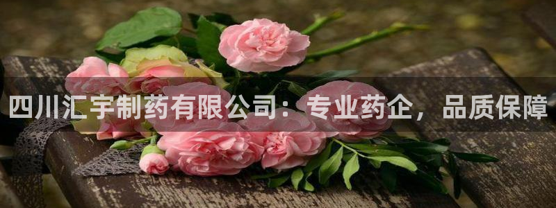 九游老哥俱乐部官网登录入口：四川汇宇制药有限公司：专业药企，品质保障