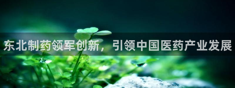 ag九游会老哥俱乐部：东北制药领军创新，引领中国医药产业发展