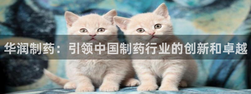 九游会老哥俱乐部：华润制药：引领中国制药行业的创新和卓越