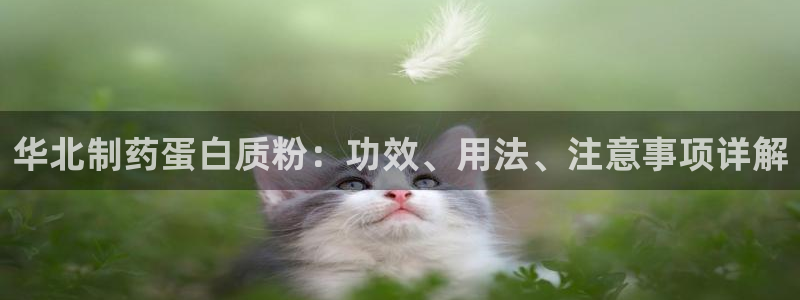 九游老哥俱乐部登录：华北制药蛋白质粉：功效、用法、注意事项详